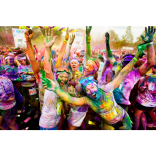 Things to do in Brighton & Hove - 13th - 19th September