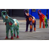 Ever wondered about the elephants in Bolton?