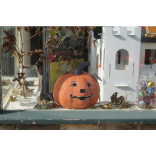 The Southsea Greenhouse