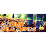 Kids ‘Go Wild’ for half term