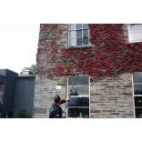 State of the art window cleaning