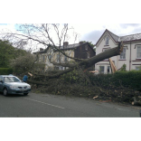 Windy Weather The Best Of Bolton Members To The Rescue