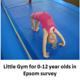 Would you be interested in a Little Gym for 0-12 year olds in Epsom – a reader asks your opinion