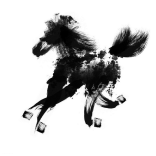  年節 Chinese New Year: The Year of the Horse 馬