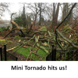 ‘Mini Tornado’ hits Epsom – there’s no place like home Toto!!