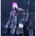 The World Famous Donkeys of Clovelly Launch North Devon Film Project