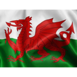 Celebrate St David's Day in Pontypridd and Rhondda