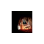 Performance Arts - NTLive Stream - War Horse (12A)