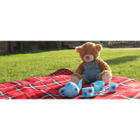 The Teddy's Bear Picnic in Pontypridd