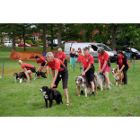The Regans Vets 30th anniversary celebrations were a huge success