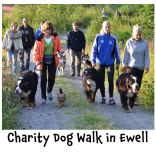 Charity Dog Walk in Ewell – want to be part of it ?  #dogwalk @ewellvillage @ramsecurityfire #romaniandogrescue