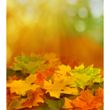Are you ready for Autumn?