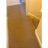 Need nice clean carpets in your home? Contact Revive Carpets