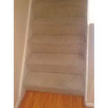 Have your carpet cleaned with Revive Carpets this October