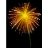 Fireworks Advice for Pets!