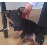 Meet Max, the accountant's friend