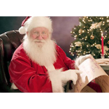 A Month of Festivities in The New Forest