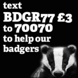 Help the Sussex Wildlife Trust to vaccinate badgers against bovine TB