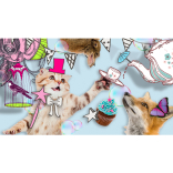 Things to do in Brighton & Hove - Friday 21st Nov - Thursday 27th Nov