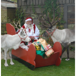 Things to do in Brighton & Hove - Friday 28th Nov - Thursday 4th Dec