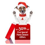 Christmas Panto Special Offers!