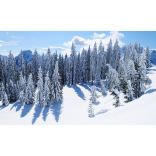 Want a Valentine's Winter Wonderland Adventure? 