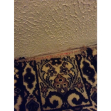 Why You Should Never Clean Your Own Carpet