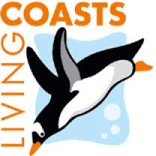 Bird fun at Living Coasts