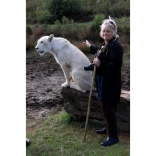 The holiday experience where you actually get to stroke a lion in the wild...