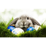 Ten things to do over Easter (with and without the kids)