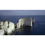 Old Harry Rocks Summer Walk
