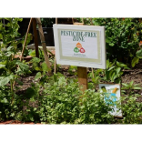 Brighthelm's Weekly Update! 29th July 2015 