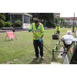 Keep off the grass: storm clear-up in Lower Gardens puts lawns temporarily out of bounds
