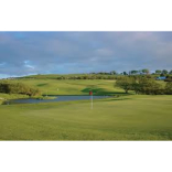 5 Reasons To Take Up Golf If You Are Over 35 Years Old  