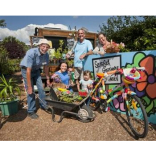 The Summer Garden : Graham Newcombe