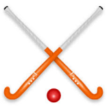 Top Hockey Players Coach Local Youngsters