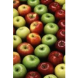 What's on in The New Forest 11th September to 19th September