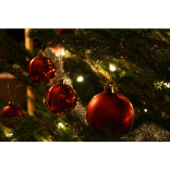 What's Going on in the Chichester Area - 4th December - 11th