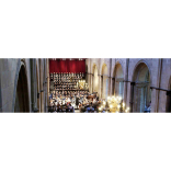 What’s Going on in the Chichester Area - December 11 – 18