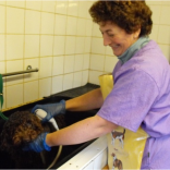 How to Keep Your Dog & House Smelling Fresh Each Day