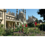 What's Happening in Brighton & Hove - Week of Friday 15th January - Thursday 21st January