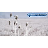 What's on this week?