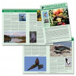 New Year's Resolutions