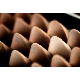 What's the earliest recorded profession? You won't guess...