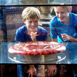 Celebrate Chinese Year of the Monkey at Coalport China Museum