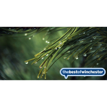 What's on this weekend?