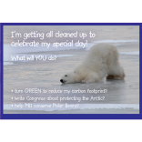 International Polar Bear Day - Saturday February 27th 
