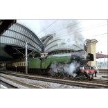 The Flying Scotsman Returns home