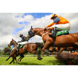 When is the Grand National 2016?