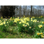 What's on in The Highlands this weekend 22nd to 24th April?